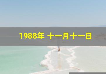 1988年 十一月十一日